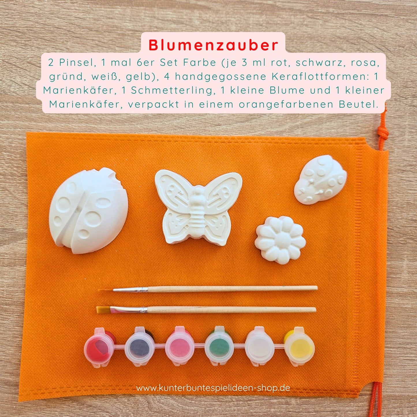 Kreativset und Malset Insektenwelt für Kinder und Kinderfeste Biene Schmettlerling marienkäfer geschenk im Sommer Kunterbunte Spielideen