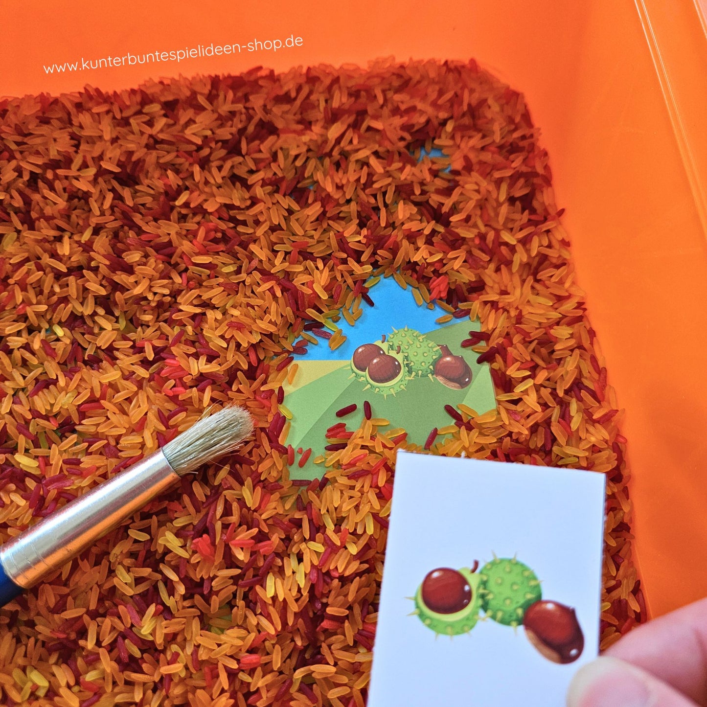 Sensorik-Spiel Herbst Druckvorlage für Regenbogenreis, Spielvorlage für sensorische Materialien, Suchbild, Wimmelbild, Sensory Play zum Ausdrucken als Schüttspiel. Zusätzlich als Suchen-&-Finden-PDF nutzbar – ein herbstliches Suchspiel, bei dem Kinder spielerisch herbstliche Motive suchen und finden