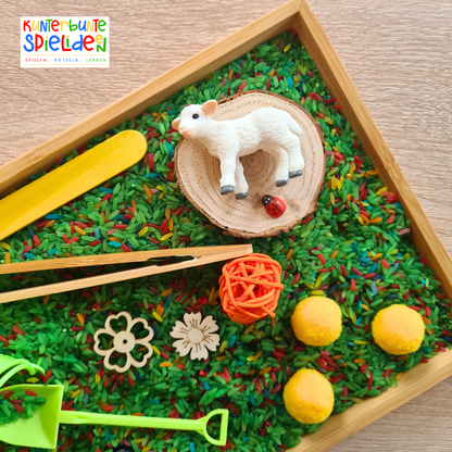 Sensorische Spiele Thema Frühling Sensory Play Frühling gefärbter Reis Montessori Spiele Frühling