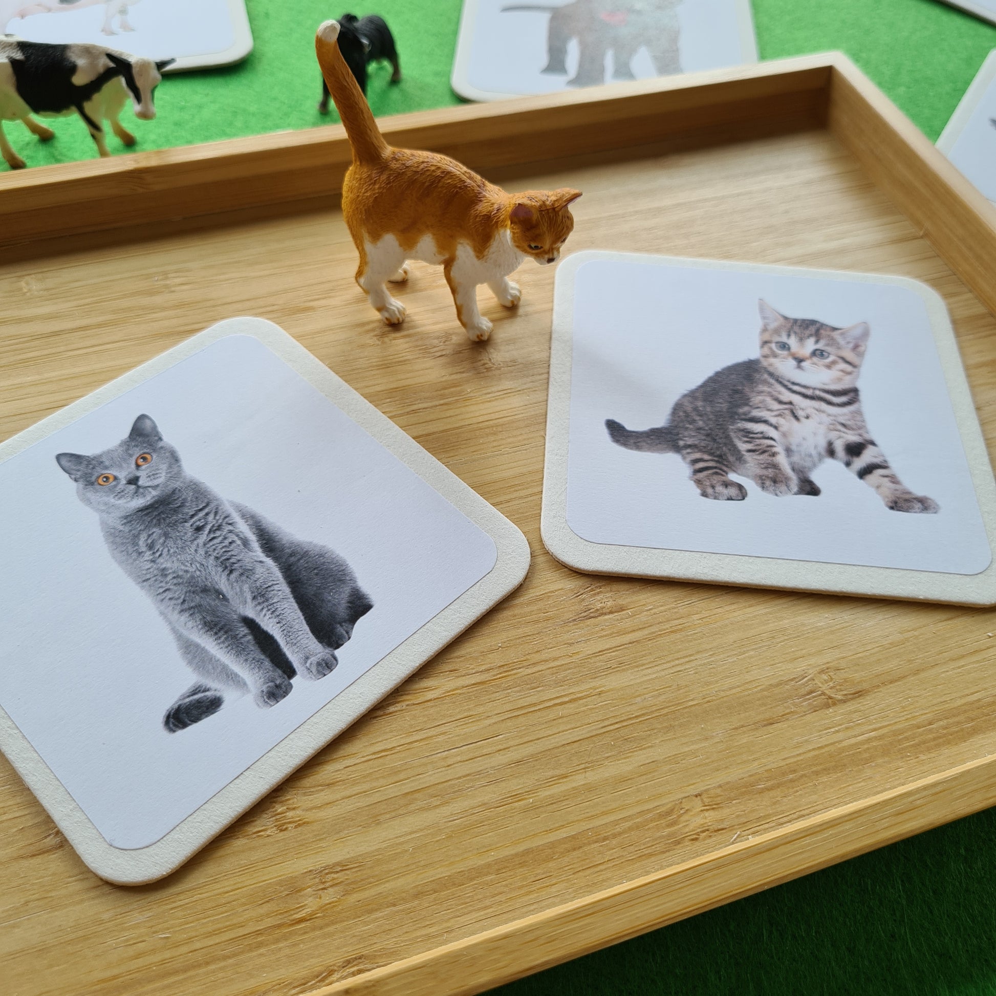 Entdecken Sie pädagogische Montessori-Lernspiele für Kleinkinder, die die Tierzuordnung fördern. Das Montessori-Material umfasst Tierkarten und Tierfiguren, die Kinder spielerisch lernen lassen. Diese pädagogischen Montessori-Zuordnungsspiele bieten eine unterhaltsame Möglichkeit für Kleinkinder, ihre Welt zu erkunden und zu lernen.