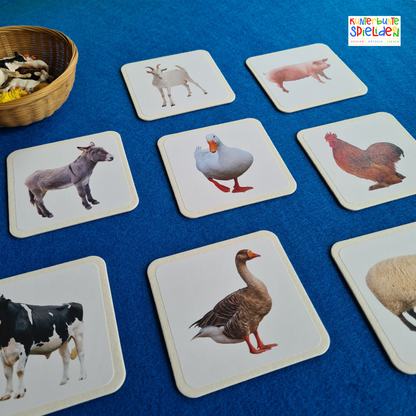 Zuordnungsspiel Bauernhoftiere Bauernhof Welche Tiere leben auf einem Bauernhof Geschenk Kleinkinder Montessori Spiel Tiere zuordnen Bauernhof Nutztiere kennenlernen Geschenk Tierfiguren Bauernhof Waldorf Geschenk Tierkarten Karten mit Tieren