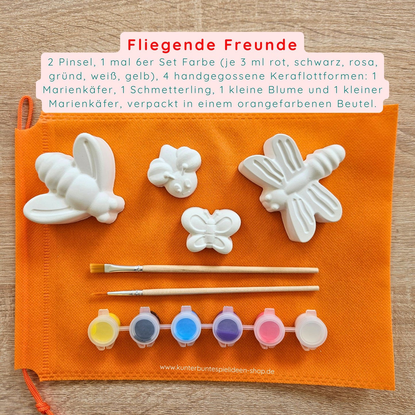 Kreativset und Malset Insektenwelt für Kinder und Kinderfeste Biene Schmettlerling marienkäfer geschenk im Sommer Kunterbunte Spielideen
