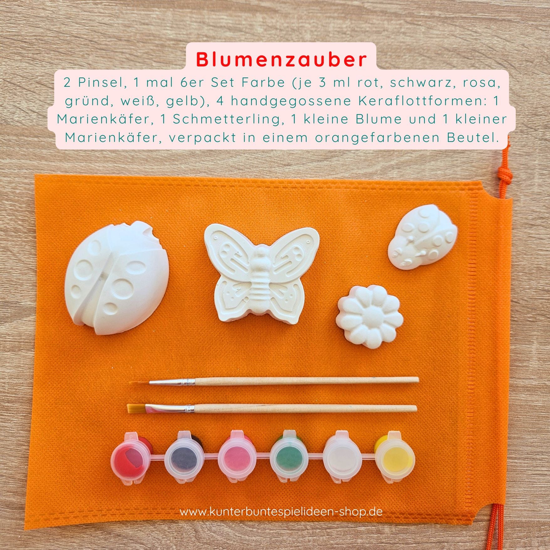 Kreativset und Malset Insektenwelt für Kinder und Kinderfeste Biene Schmettlerling marienkäfer geschenk im Sommer Kunterbunte Spielideen
