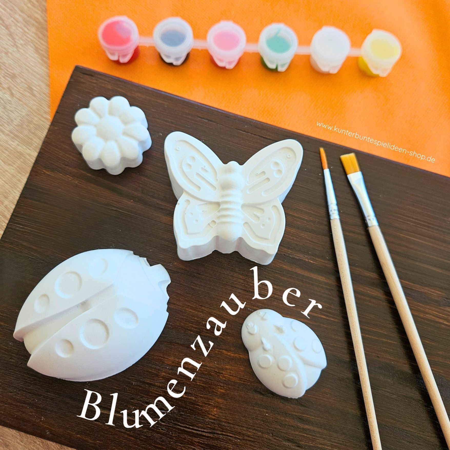 Kreativset und Malset Insektenwelt für Kinder und Kinderfeste Biene Schmettlerling marienkäfer geschenk im Sommer Kunterbunte Spielideen