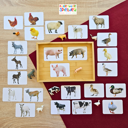 Tierfamilien Lernkarten Kinder Heimische Tiere Kuh Schwein Gans Schaf Ziege Huhn ente Esel Montessori Zuordnungsspiel Geschenk Aktionstablett Spielidee Geschenkidee Montessori Shop Tierkarten Memory 