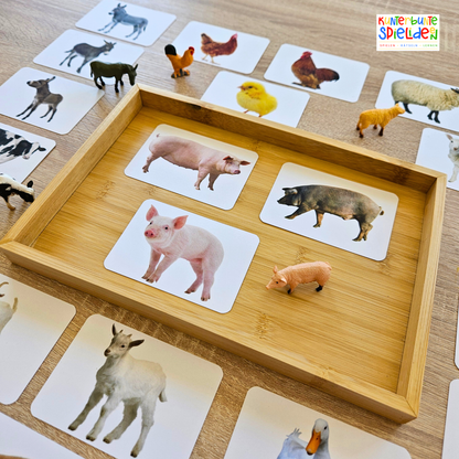 Tierfamilien Lernkarten Kinder Heimische Tiere Kuh Schwein Gans Schaf Ziege Huhn ente Esel Montessori Zuordnungsspiel Geschenk Aktionstablett Spielidee Geschenkidee Montessori Shop Tierkarten Memory 