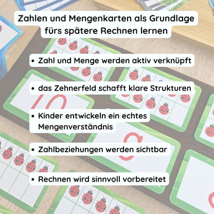 Zahlenkarten und Mengenkarten im Zehnerfeld als Lernkarten für den Zahlenraum 1 bis 10 zur Förderung von Mengenverständnis und Rechnen lernen ohne zählen. Ideal für Vorschule, Grundschule und Förderung mit klar strukturierten Mengenbildern.